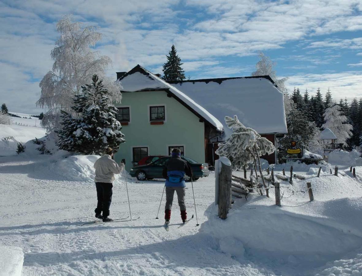 Pension Holzmeister Sankt Kathrein am Offenegg Dış mekan fotoğraf