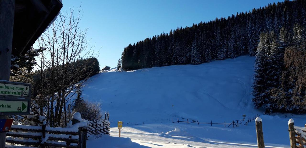 Pension Holzmeister Sankt Kathrein am Offenegg Dış mekan fotoğraf